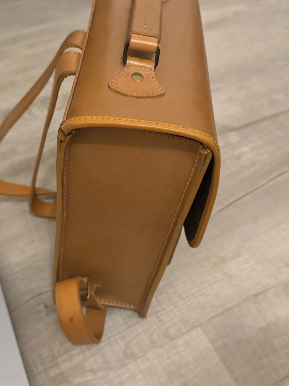 Beara beara sleek brown
